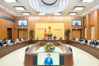 Cơ cấu tổ chức của Quốc hội gồm Hội đồng dân tộc và 7 Ủy ban