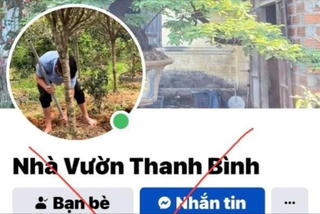 Vĩnh Phúc: Bắt đối tượng lừa bán cây cảnh chiếm đoạt tài sản trên mạng