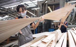 Sớm khai thông hoàn thuế cho doanh nghiệp