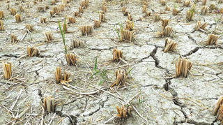 Mối đe dọa lạm phát lớn hơn thuế quan