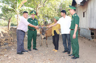 Đắk Lắk: Trao bò giống sinh sản cho hộ nghèo ở vùng biên