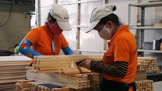 Ngành gỗ khởi sắc