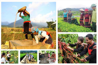 Tháo gỡ khó khăn, thúc đẩy triển khai thực hiện 3 chương trình Mục tiêu quốc gia