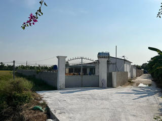 Ô nhiễm từ trang trại lợn xây dựng trái phép