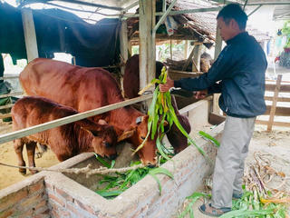 Giải pháp “hút” người dân tham gia bảo hiểm xã hội tự nguyện?