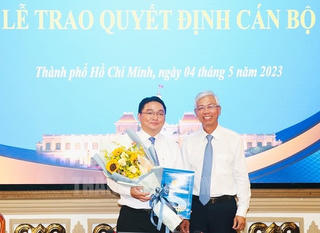 Ông Nguyễn Trần Bình làm Chủ tịch UBND quận 11, TP HCM
