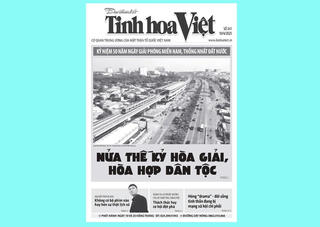Tìm đọc Tinh hoa Việt số 241, phát hành từ ngày 10/4/2025