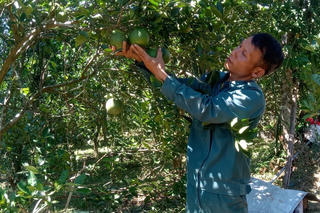 Người dẫn dắt phong trào ở Ta Rung