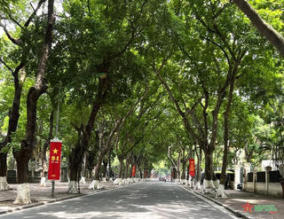 Thời tiết ngày 19/1: Bắc Bộ nắng ấm trước khi đón đợt rét đậm
