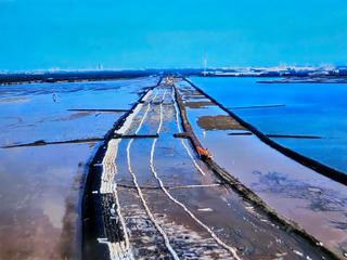 Hải Phòng: Đẩy nhanh tiến độ thi công tuyến đê biển Nam Đình Vũ gần 2.300 tỷ đồng