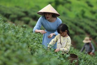 Cú hích cho du lịch nông nghiệp