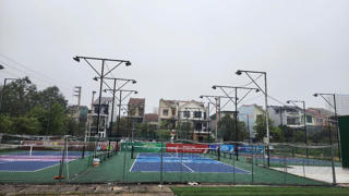 Loạn sân Pickleball không phép