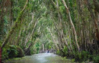 Khai thác nguồn lợi từ rừng