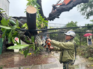 Hà Tĩnh tổn hại nặng nề do bão số 5