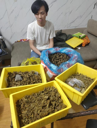 Đà Nẵng: Bắt đối tượng tàng trữ 4,5 kg cần sa