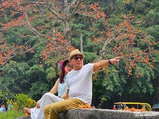 Hoa gạo rực đỏ trước ngôi chùa 600 năm tuổi