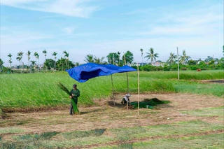 Khi hồn cói dệt ước mơ ra biển lớn