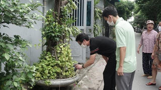 Hà Nội tăng cường giám sát, điều tra và xử lý ổ dịch sốt xuất huyết tại cộng đồng