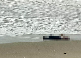 Phát hiện thi thể nam sinh lớp 11 trôi dạt vào bờ biển