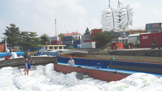 Xuất khẩu gạo: Chú trọng khâu chế biến