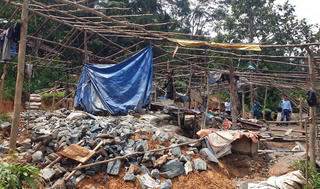 Truy quét vàng tặc trong rừng phòng hộ