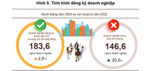 Doanh nghiệp thành lập mới 10 tháng năm 2023 tăng 4,7% 
