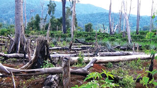 Đừng để chuyện đã rồi