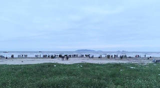 Em trai chới với, anh ruột lao ra cứu nhưng bị sóng biển nhấn chìm 