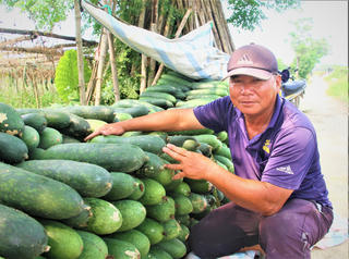 Nơm nớp mối lo được mùa, mất giá