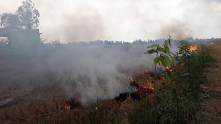 Người đàn ông tử vong khi đi đốt rơm ngoài đồng