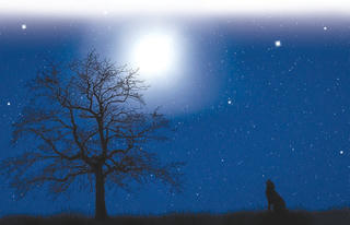 Những câu chuyện đêm hè