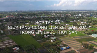 Hợp tác xã giúp tăng cường liên kết sản xuất trong lĩnh vực thủy sản