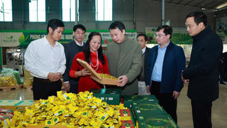 Huyện Đại Từ sản xuất nông nghiệp công nghệ cao gắn với phát triển du lịch