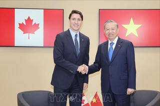 Tổng Bí thư, Chủ tịch nước Tô Lâm gặp song phương lãnh đạo các nước