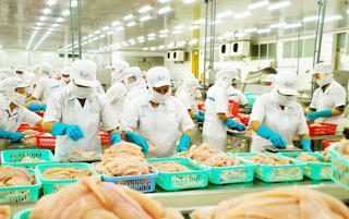 Cơ hội kinh doanh dần trở lại