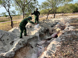 Quảng Trị: Bộ đội hỗ trợ người dân chôn hủy 2,1 tấn lợn bị bệnh