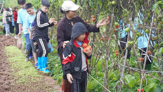 Học sinh thích thú trải nghiệm du lịch nông nghiệp ven đô