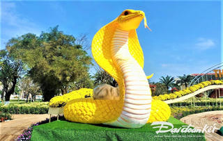 Quảng Nam: Cặp linh vật rắn vàng tạo ấn tượng với người dân