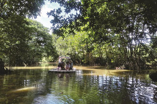 Khám phá bưng biền