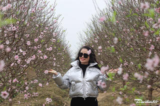 Dự báo thời tiết cả nước dịp Tết Nguyên đán Giáp Thìn 2024