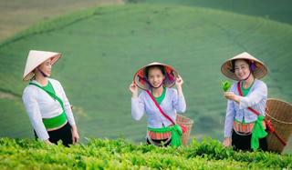 Bồng bềnh “tiên cảnh Long Cốc”