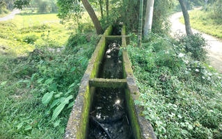 Kênh mương dẫn nước lại... thiếu nước