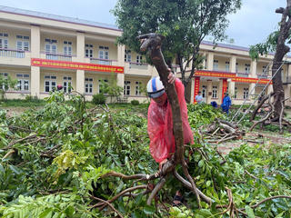 Tái thiết cuộc sống sau bão số 5