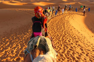 Chặn “bước chân” sa mạc hóa!