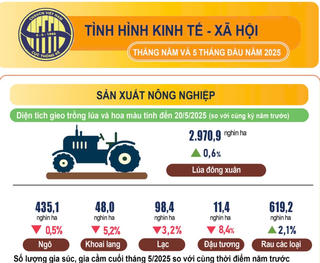 Infographics: Tình hình kinh tế - xã hội tháng Năm và 5 tháng đầu năm 2025