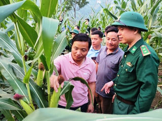 Ấm áp tình quân dân