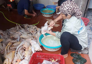 Xử lý nghiêm những cơ sở giết mổ động vật chưa được cấp phép