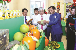 Khắc in tinh thần người Công giáo Việt Nam sống Phúc âm trong lòng dân tộc