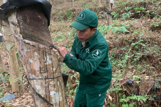 “Cây sáng kiến” nâng cao chất lượng cuộc sống người lao động