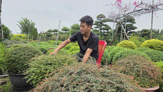 Làng sinh thái nơi ngã ba sông